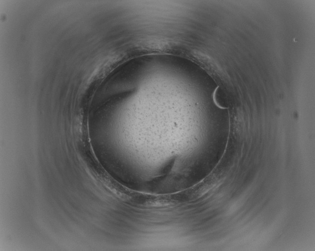 X0000070420739200606231852