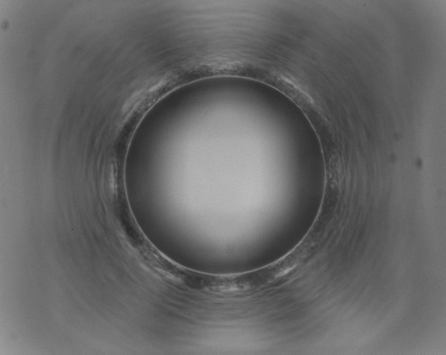 X0000070420740200606231852