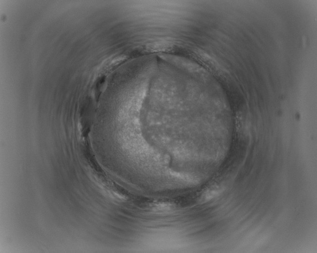 X0000070420741200606231852