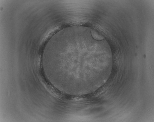 X0000070420742200606231852