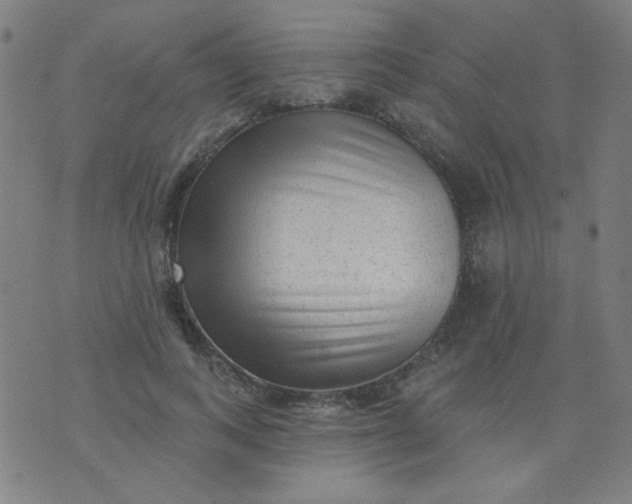 X0000070420743200606231852