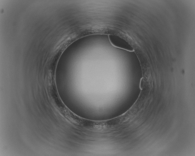 X0000070420744200606231852