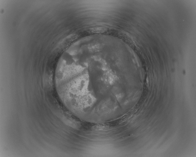 X0000070420745200606231852