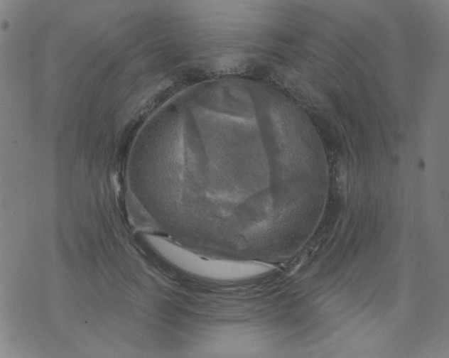 X0000070420746200606231852