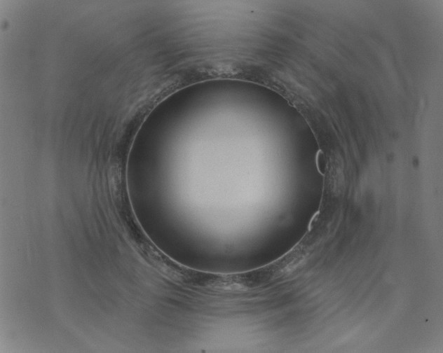 X0000070420747200606231852