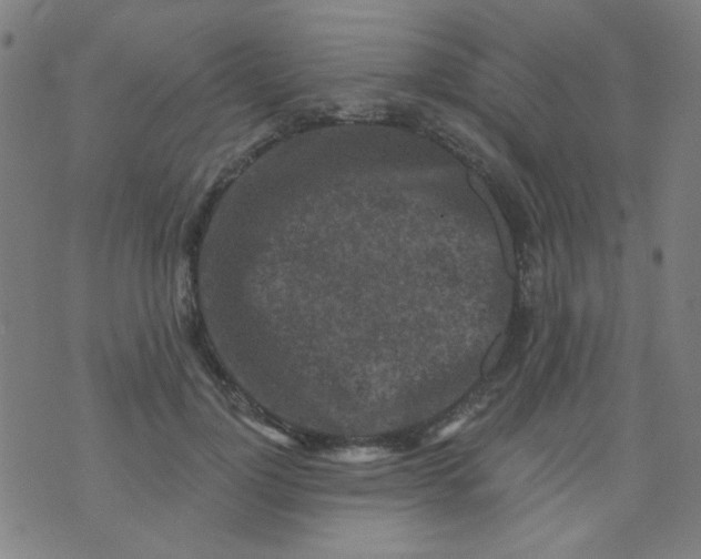 X0000070420748200606231852