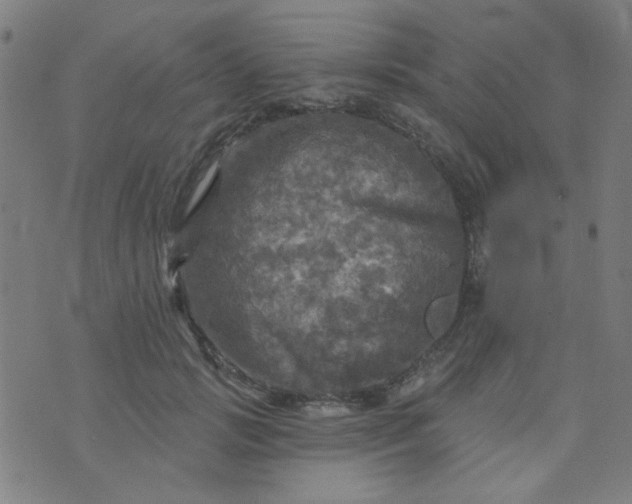 X0000070420749200606231852