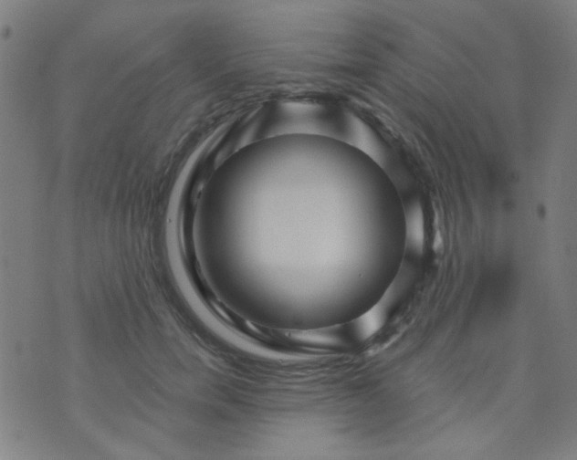 X0000070420750200606231852