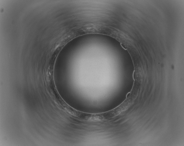 X0000070420751200606231852