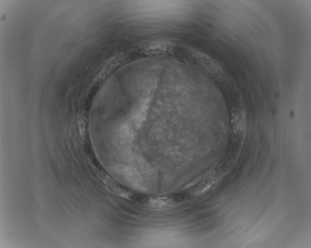 X0000070420753200606231853