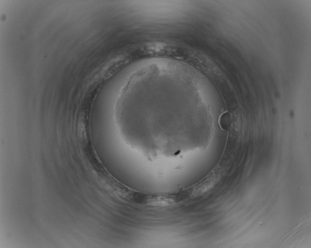 X0000070420754200606231853