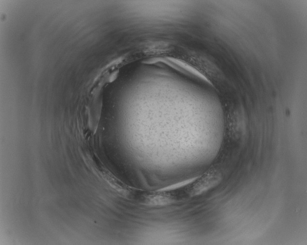 X0000070420755200606231853