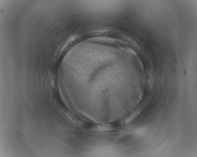 X0000070420758200606231853