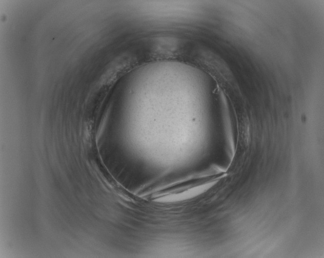 X0000070420759200606231853