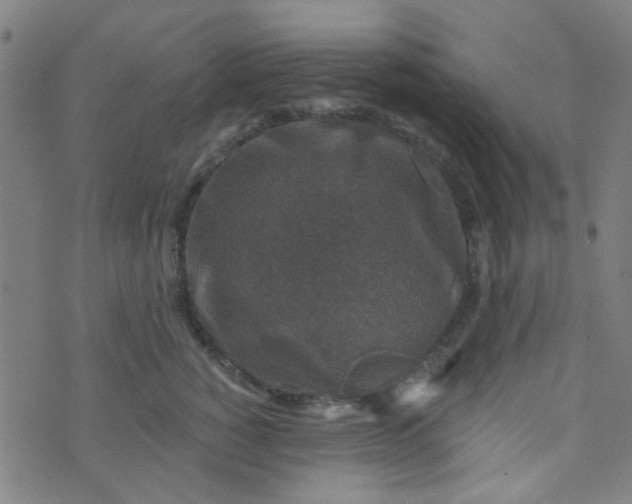 X0000070420760200606231853