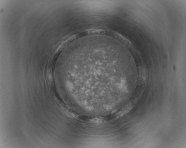 X0000070420761200606231853