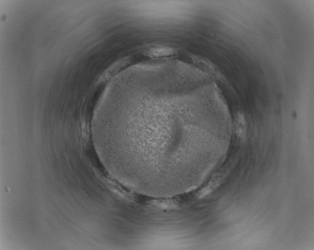 X0000070420763200606231853