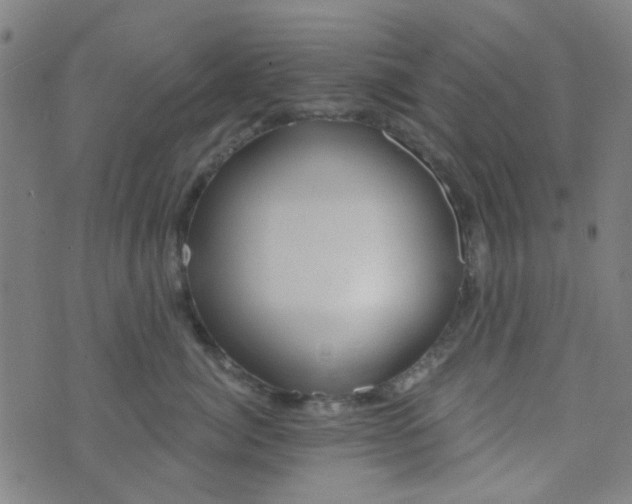 X0000070420764200606231853