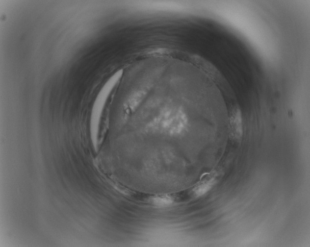 X0000070420765200606231853