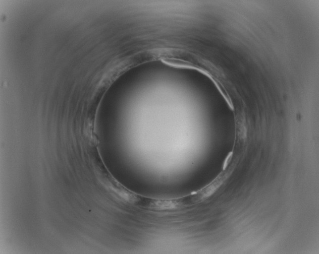 X0000070420766200606231853