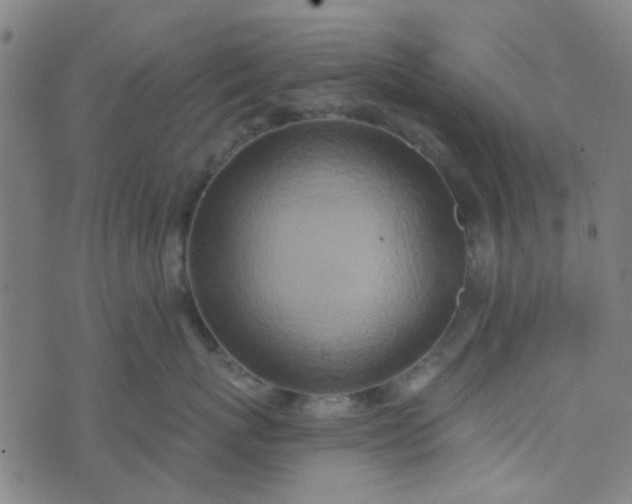 X0000070420767200606231853