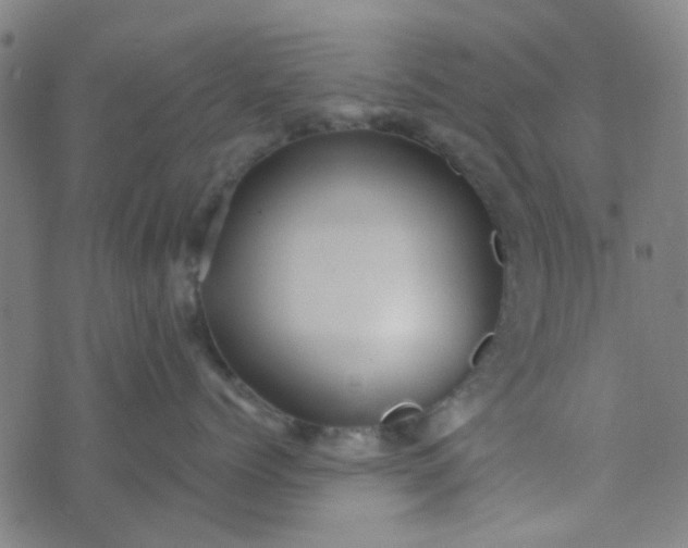 X0000070420768200606231853