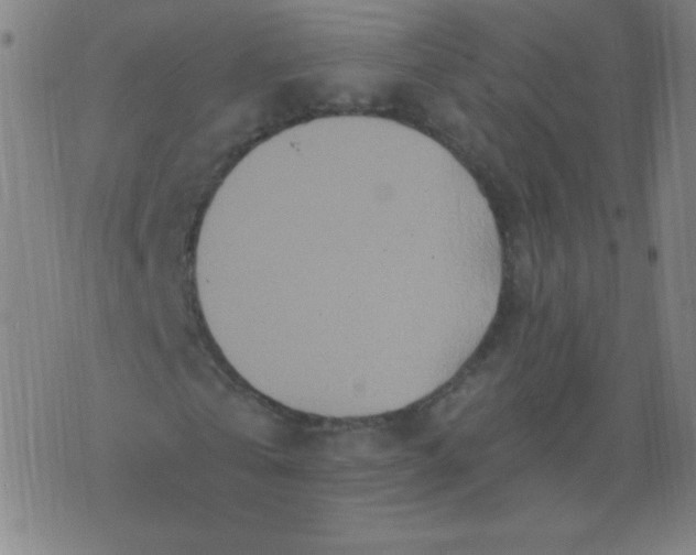 X0000070420769200606231852