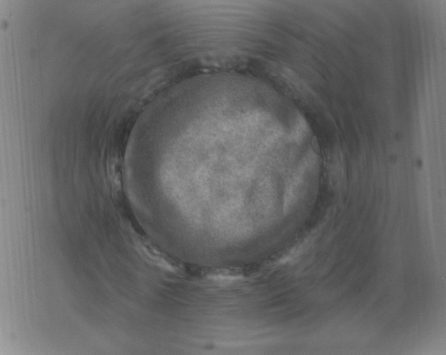 X0000070420770200606231852