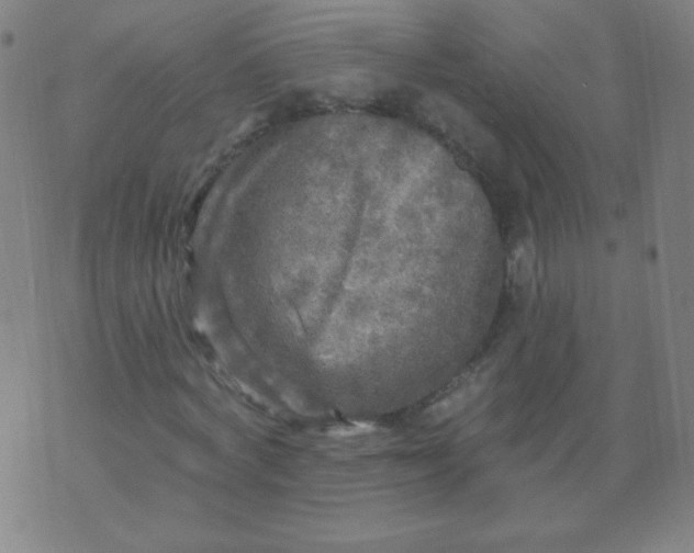 X0000070420772200606231852