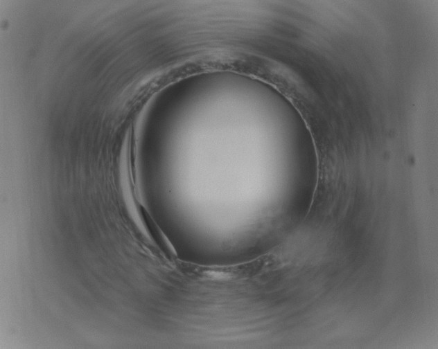 X0000070420773200606231852