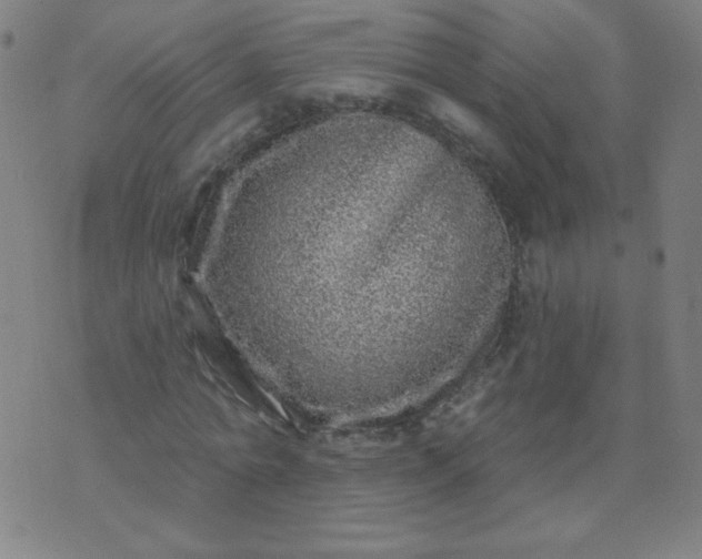 X0000070420774200606231852