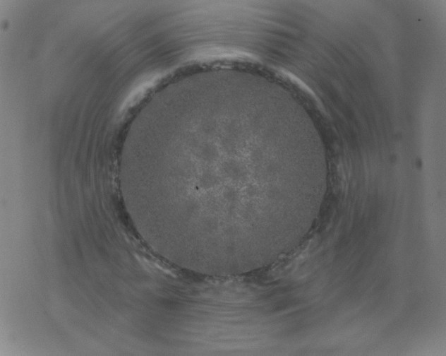 X0000070420775200606231852