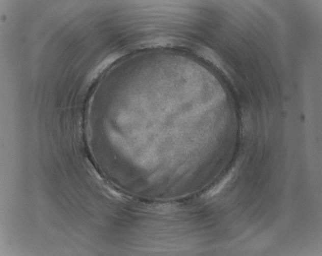 X0000070420778200606231852