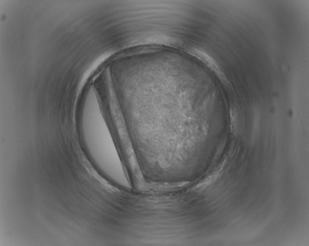 X0000070420780200606231852