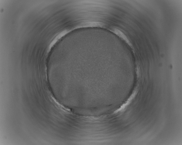 X0000070420781200606231852