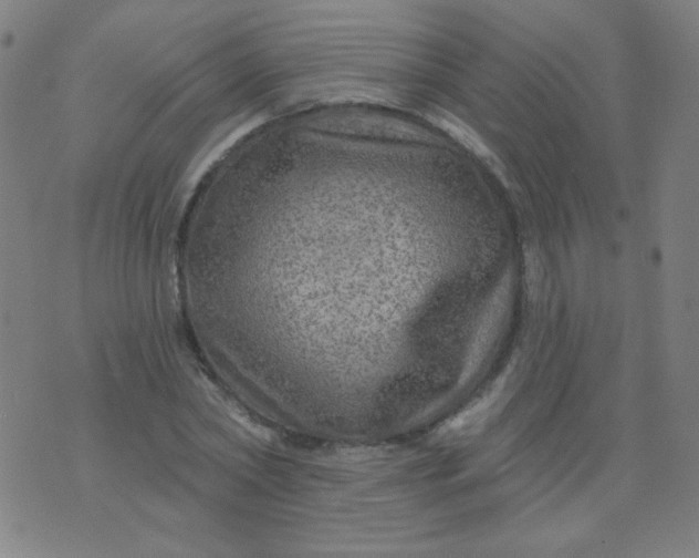 X0000070420782200606231852