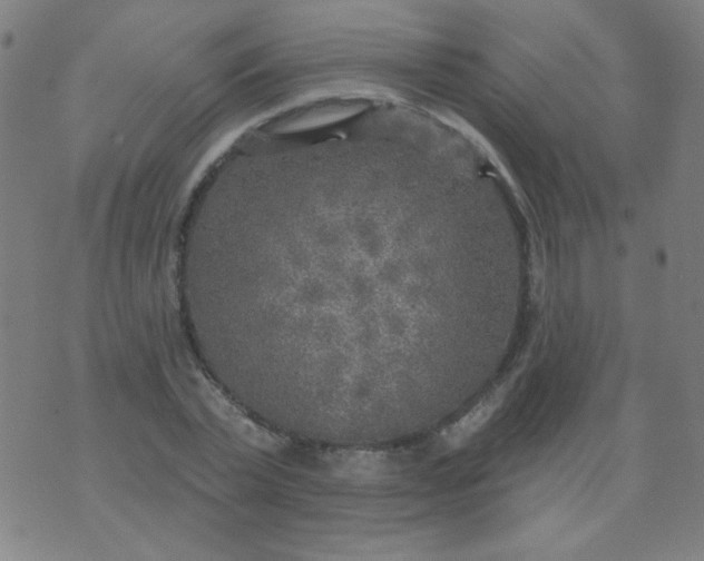 X0000070420783200606231852