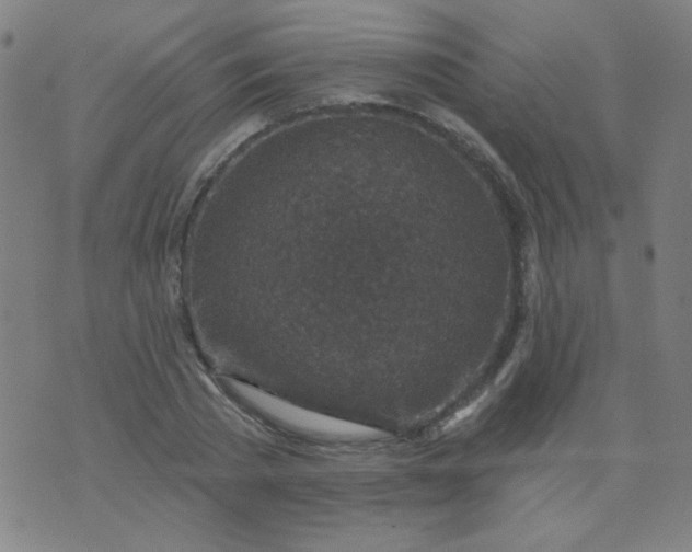 X0000070420785200606231852