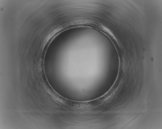 X0000070420786200606231852