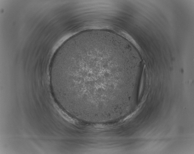 X0000070420787200606231852