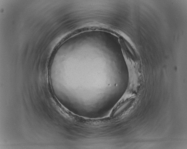 X0000070420791200606231852