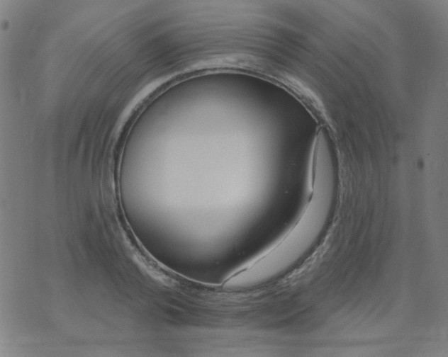 X0000070420792200606231852