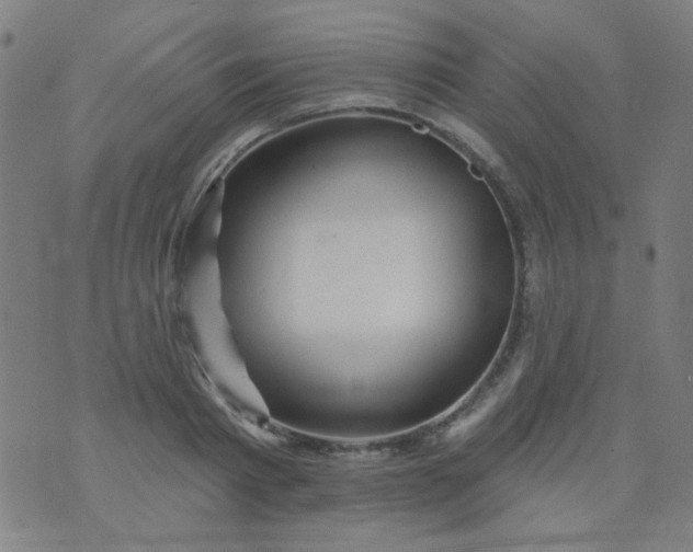 X0000070420793200606231852