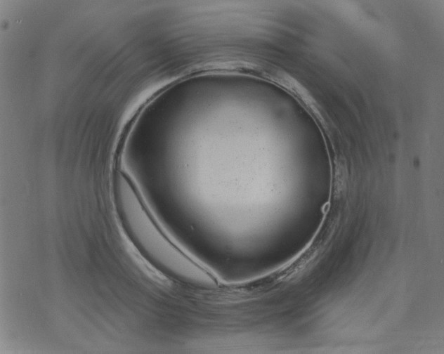 X0000070420795200606231852