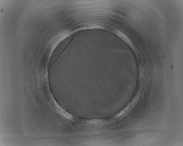 X0000070420797200606231852