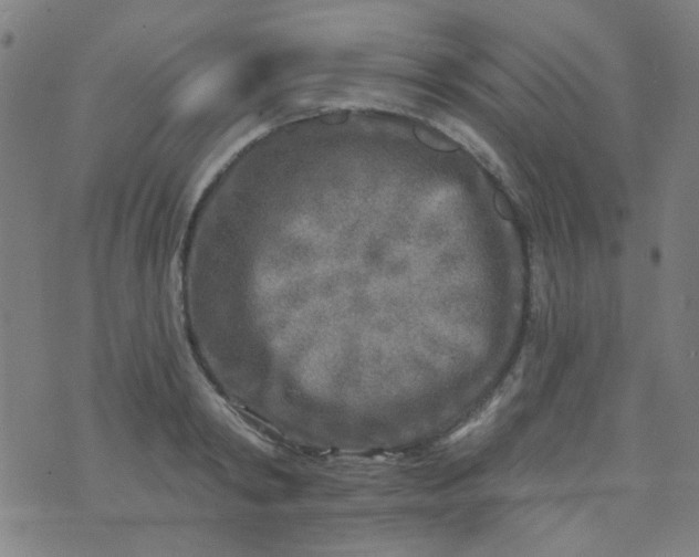 X0000070420798200606231852