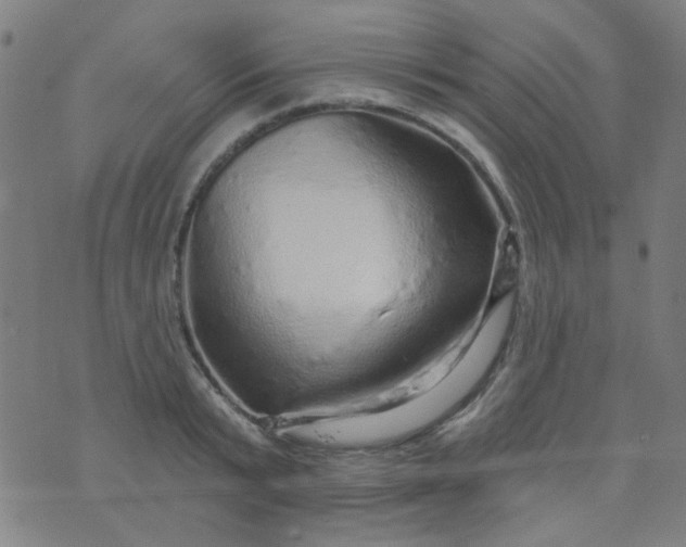 X0000070420799200606231852