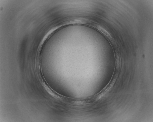 X0000070420800200606231851