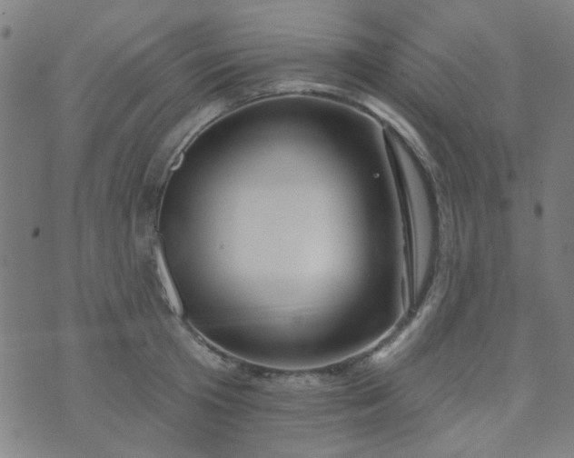 X0000070420801200606231851