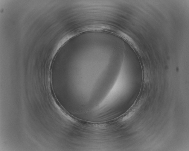 X0000070420802200606231851